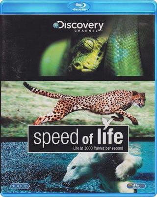 Speed of Life Speed of Life