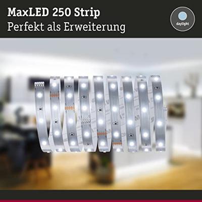 Paulmann MaxLED Stripe Daylight 79858 LED-strip Met connector (male) 2.5 m Daglichtwit 1 stuk(s)