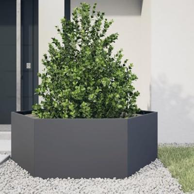 VidaXL Plantenbak zeshoek 138x120x45 cm staal antracietkleurig VidaXL Plantenbak zeshoek 138x120x45 cm staal antracietkleurig