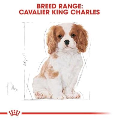 Royal Canin Cavalier King Charles voer voor puppy 1.5kg