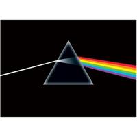 Poster Pink Floyd - Dark Side of the Moon 91,5x61cm - thumbnail