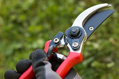 Meister Snoeischaar Bypass Re - WU9719100