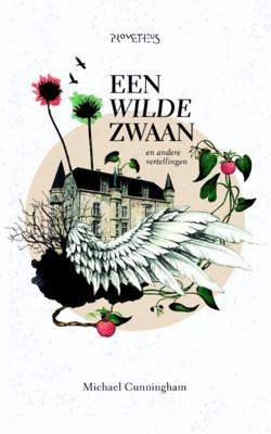 Een wilde zwaan - Michael Cunningham - ebook