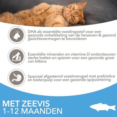 Iams Kitten kattenvoer met zeevis 2 x 10 kg - thumbnail