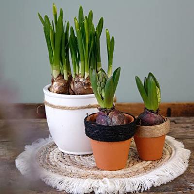 Vaessen Creative • jute touw beige 2mmx100m