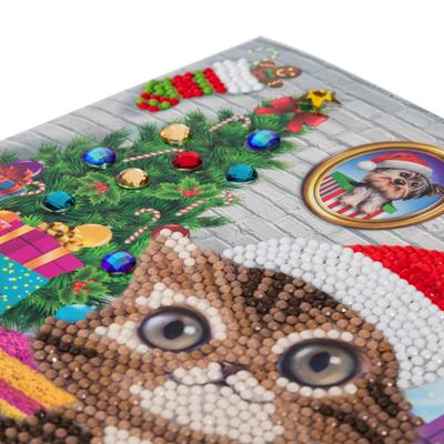 Brandunit Diamond painting - kerstkaart van een kitten
