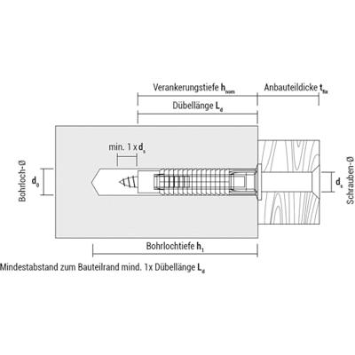 Studs CELO FX 12 x 60 mm Nylon (25 Stuks)