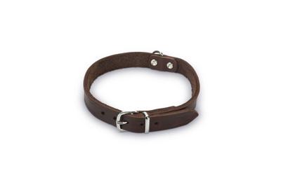 Lederen honden halsband bruin - 52 cm x 20 mm