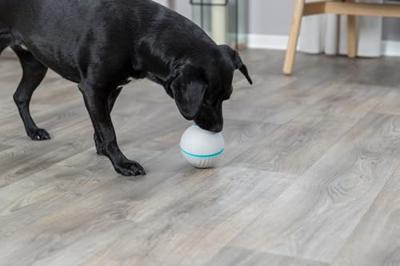 Hondenspeelgoed Trixie Grijs Natuurlijk rubber Plastic TPR Snacks