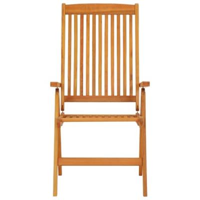 Tuinstoelen 2 st inklapbaar massief eucalyptushout