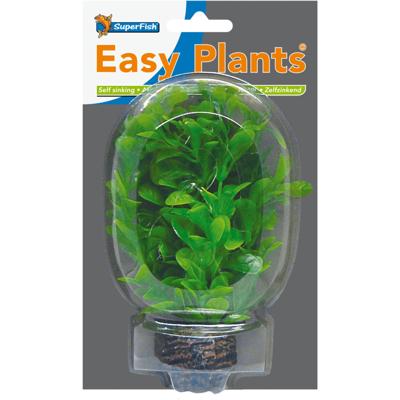 Easy Plant Laag 13 Cm Nr. 8 aquaria Superfish - Superfish