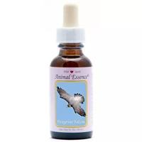 Animal Essences Peregrine falcon (slechtvalk) 30 Milliliter - thumbnail