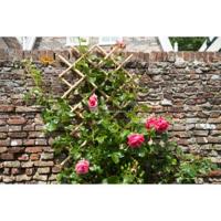 Nature klimrek bamboe 100 x 200 cm - thumbnail