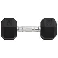 Halters 2 st 16 kg totaal gietijzer - thumbnail