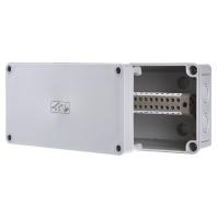 Spelsberg RKK 4/22-22x4² Serieklemmen-behuizing 180 x 94 x 57 Polystereen (EPS) Grijs 1 stuk(s) - thumbnail