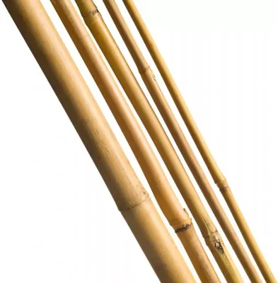 Bamboestok naturel H60cm dia. 6-8mm set a 10 stuks Nature - Nature
