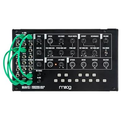 Moog Mavis synthesizer kit - thumbnail