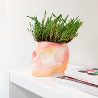 Skull plant pot - pink gradient - thumbnail