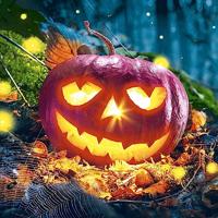 Creativ Company Servetten, pompoen, afm 33x33 cm, 20 stuk/ 1 doos - thumbnail