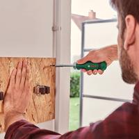 Bosch Groen Bitschroevendraaier en 12 bits - 1600A02BX2 - thumbnail