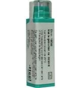 Homeoden Heel Calcarea carbonica ostrearum MK 6 Gram - thumbnail