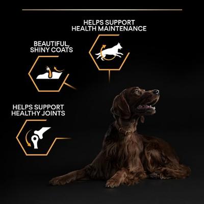 Pro Plan plan dog adult large breed athletic - thumbnail