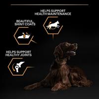 Pro Plan Large Athletic Adult Everyday Nutrition met kip hondenvoer 2 x 14 kg - thumbnail