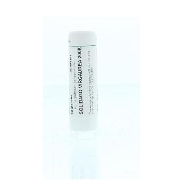 Homeoden Heel Solidago virgaurea 200K 6 Gram