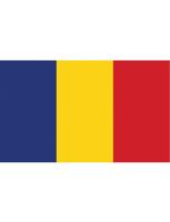 Vlag Roemenië 90x150cm - thumbnail