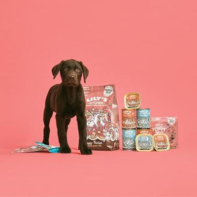 LILY'S KITCHEN DOG PUPPY CHICKEN / SALMON 7 KG - thumbnail