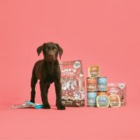 LILY'S KITCHEN DOG PUPPY CHICKEN / SALMON - thumbnail