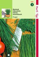 Zaden Bieslook Fijne Hortitops - Hortitops - thumbnail