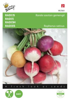 Zaden Radijs Ronde soorten gemengd Buzzy - Buzzy