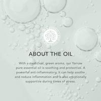 Tisserand Yarrow (Duizendblad) etherische olie 9 Milliliter - thumbnail