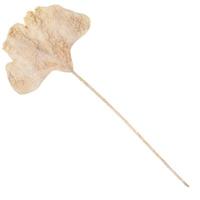 Kunsttak Ginkgo blad beige 97 cm | 24 stuks - thumbnail