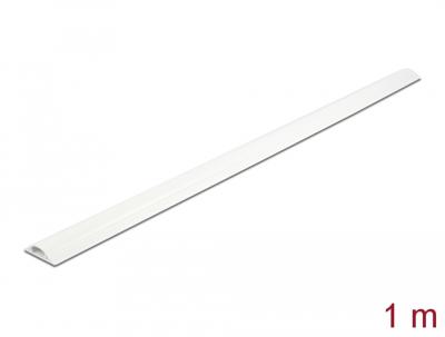 Delock 20704 Kabelgoot PVC Wit (l x b x h) 1 m x 30 mm x 8 mm 1 stuk(s)