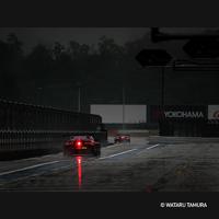 Panasonic Lumix G LEICA DG VARIO-ELMARIT 35-100mm F/2.8 POWER O.I.S. (H-ES35100E) - thumbnail