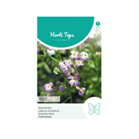 Zaden Cheiranthus Strandviolier gemengd Hortitops - Hortitops - thumbnail