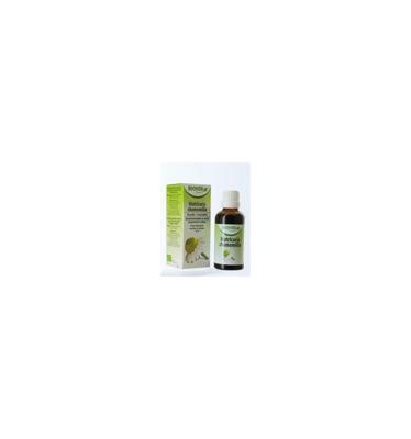 Echte Kamille Tinct Bio 50ml Biov