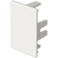 OBO Bettermann 6193196 Eindstuk (b x h) 45 mm x 30 mm Zuiver wit 10 stuk(s) - thumbnail