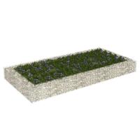 Gabion plantenbak verhoogd 200x100x20 cm gegalvaniseerd staal - thumbnail