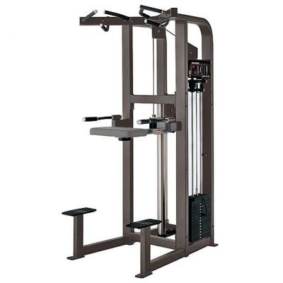 Hammer Strength Select Assist Dip Chin Hammer Strength Select Assist Dip Chin