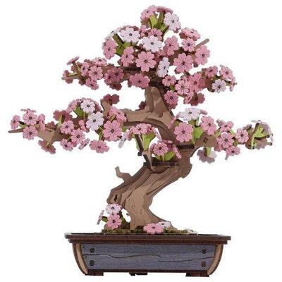 Sakura Bonsai Robotime - Robotime Sakura Bonsai Robotime - Robotime