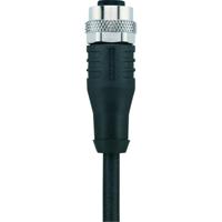 Escha 8046990 Sensor/actuator connector, geassembleerd M12 Aantal polen (sensoren): 8 Bus, recht 2.00 m 1 stuk(s) - thumbnail