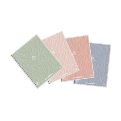 Schrift Aurora A5 lijn 120 pagina's 80gr assorti