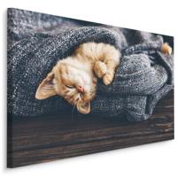 Schilderij - Kitten in diepe Slaap, Premium Print, 5 maten - thumbnail