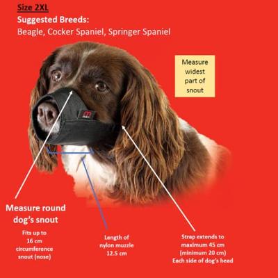 Mikki Muzzle muilband nr. 2 XL Company-of-animals Gebr. de Boon - Gebr de boon