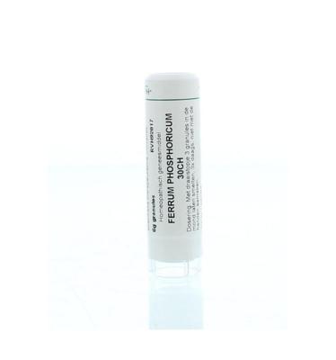 Homeoden Heel Ferrum phosphoricum 30CH 6 Gram