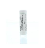 Homeoden Heel Ferrum phosphoricum 30CH 6 Gram - thumbnail