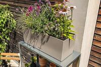 LECHUZA BALCONERA Plantenpot Vrijstaand Polypropyleen (PP) Beige Binnen/buiten - thumbnail